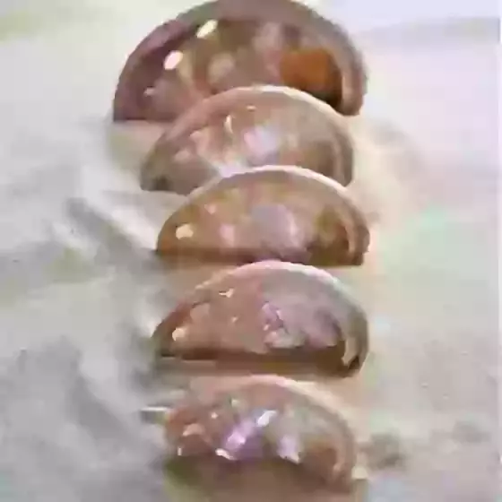 Pink Rainbow Galaxy Abalone Sea Shells 